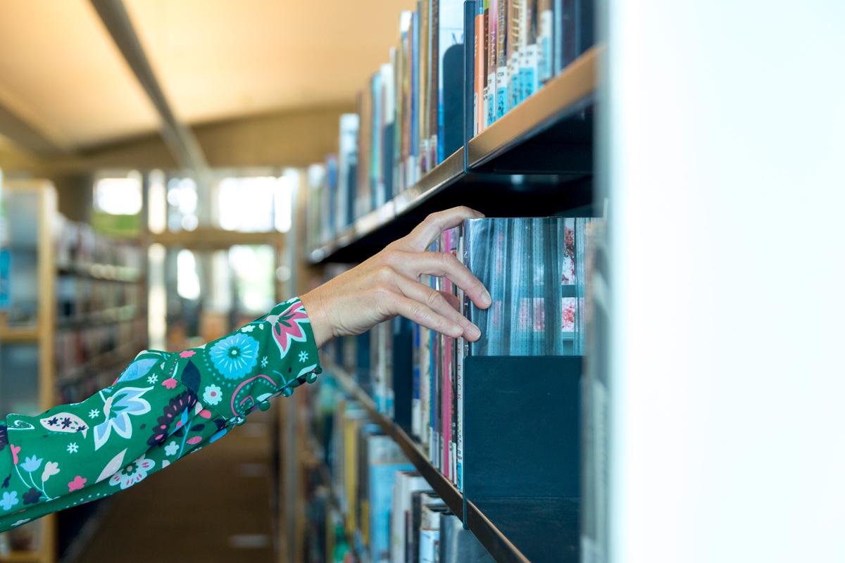 One of Kingston’s largest libraries, offering extensive collections, resources, and programs for all ages.